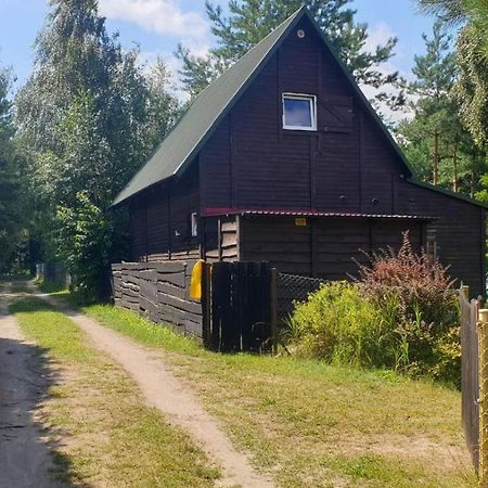 domki nad jeziorem do 10 osób jezioro Wilczyńskie Budzisławskie - domek letniskowy osobno ogrodzony, ogrzewany - wielkopolska Zygmuntowo  Exterior foto