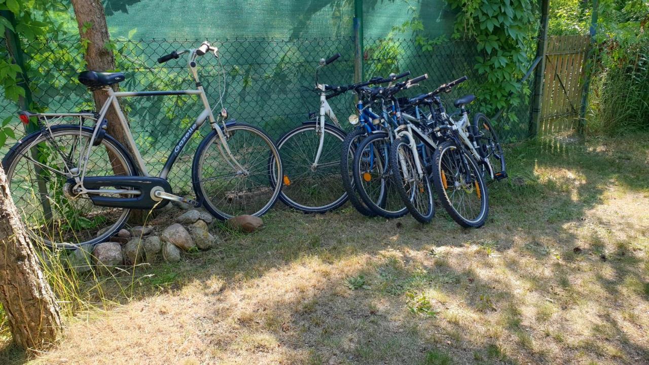 domki nad jeziorem do 10 osób jezioro Wilczyńskie Budzisławskie - domek letniskowy osobno ogrodzony, ogrzewany - wielkopolska Zygmuntowo  Exterior foto
