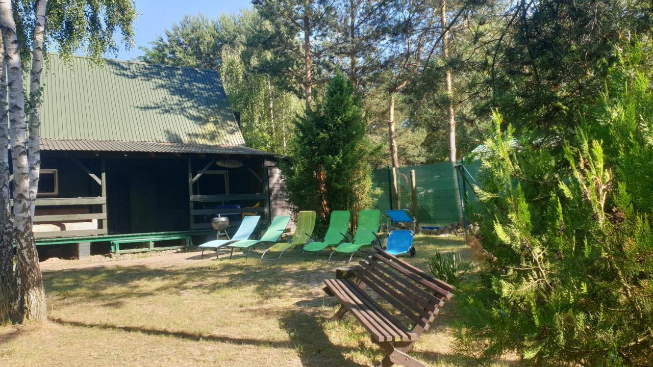 domki nad jeziorem do 10 osób jezioro Wilczyńskie Budzisławskie - domek letniskowy osobno ogrodzony, ogrzewany - wielkopolska Zygmuntowo  Exterior foto