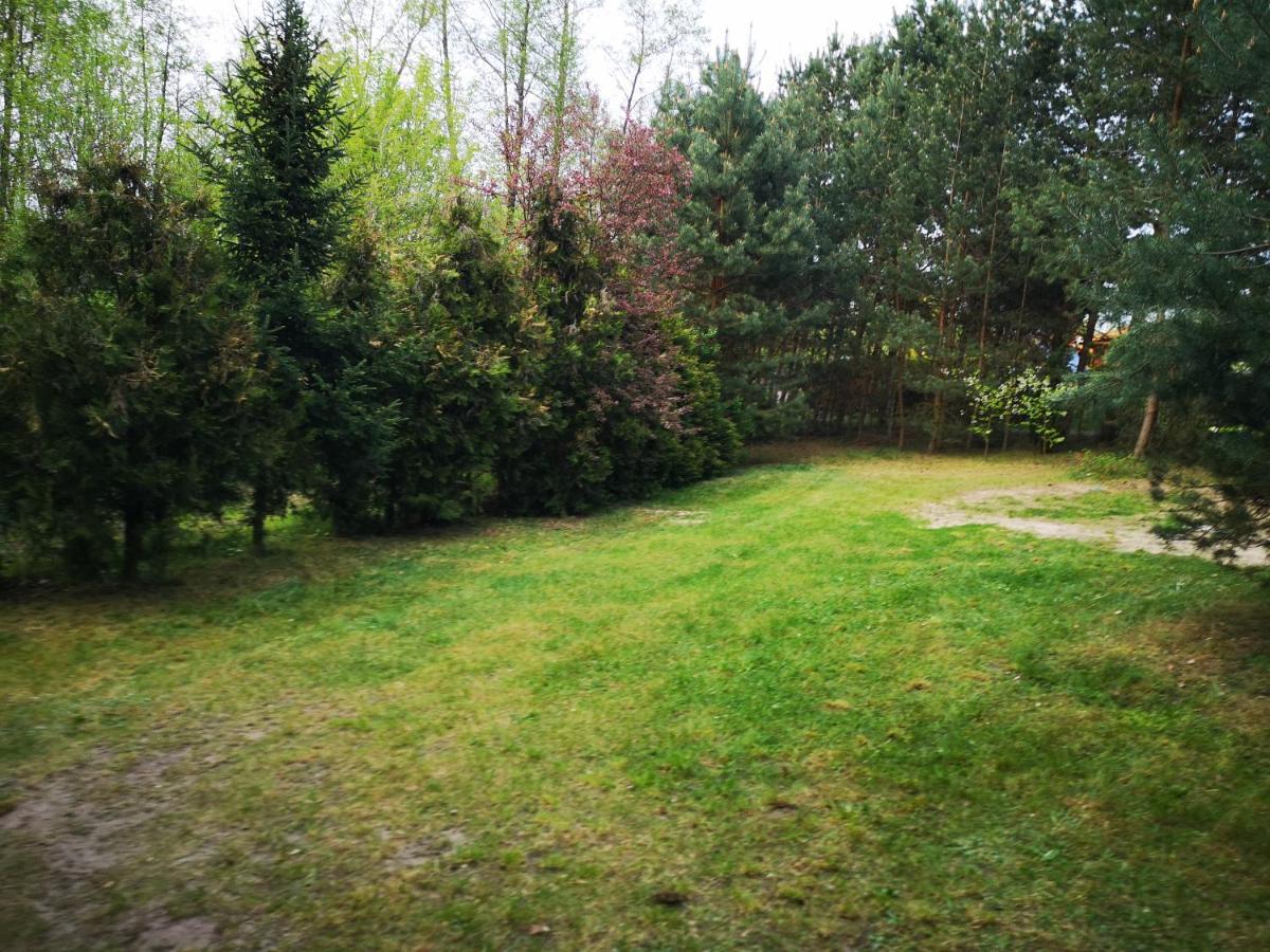 domki nad jeziorem do 10 osób jezioro Wilczyńskie Budzisławskie - domek letniskowy osobno ogrodzony, ogrzewany - wielkopolska Zygmuntowo  Exterior foto